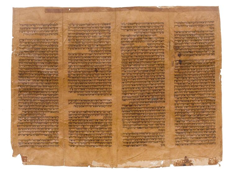 1_Codex.jpg 1_Codex.jpg